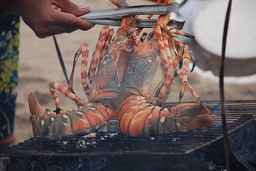 尊享芽庄珍珠岛8日游,999元芽庄自由行