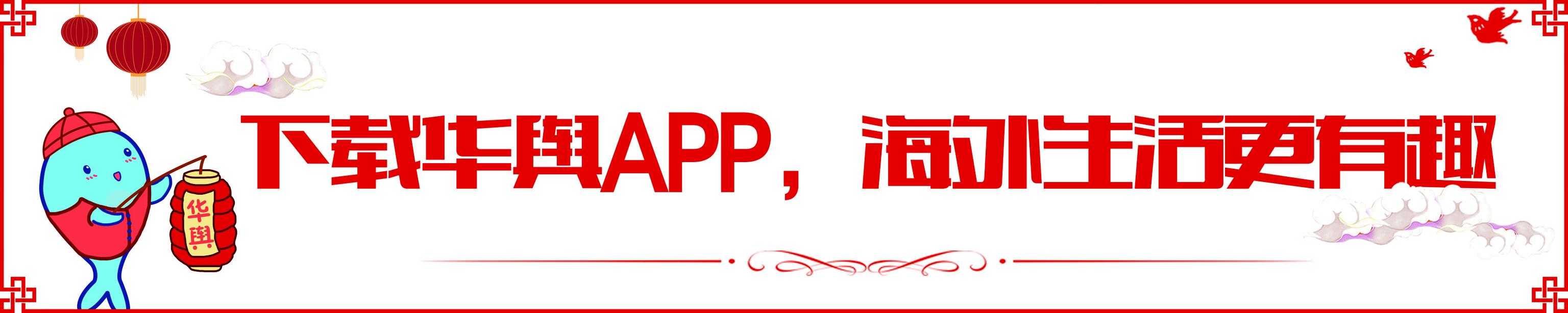 澳大利亚申请旅游签证,澳大利亚申请打工签证