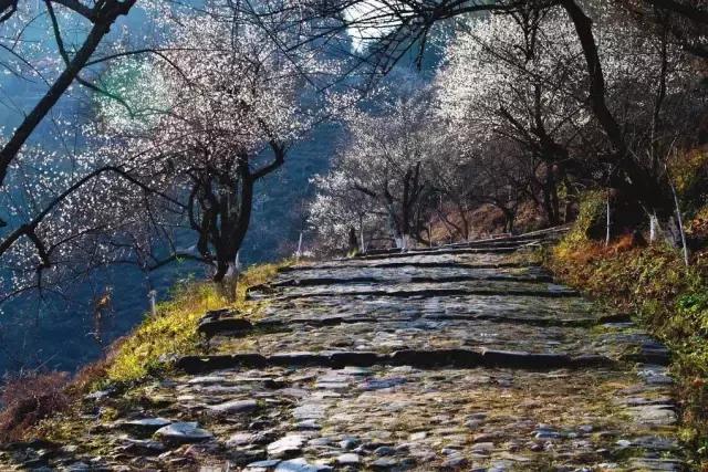 岭南九寨沟旅游攻略,广东自驾游去九寨沟攻略