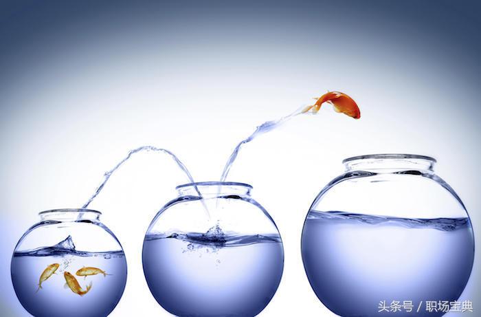 遇到糊涂上司怎么办,对付极品上司最好的办法