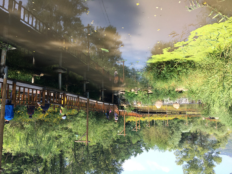 厉害了这个四线小城,厉害了滕州有这么一个小村庄