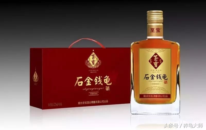 石金钱龟为什么崩盘,龟价低迷怎么办