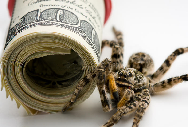 印度真实经济水平,印度经济真实