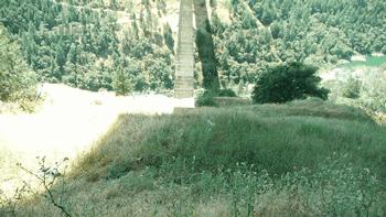 我敢打赌,iphonex烂大街吗