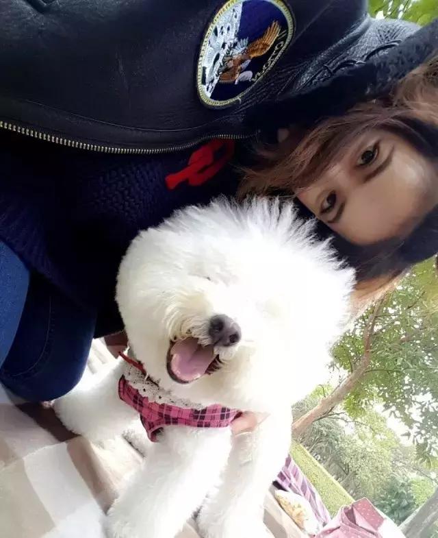 这些宠物都在背LV，你还敢抱怨自己像狗一样累？