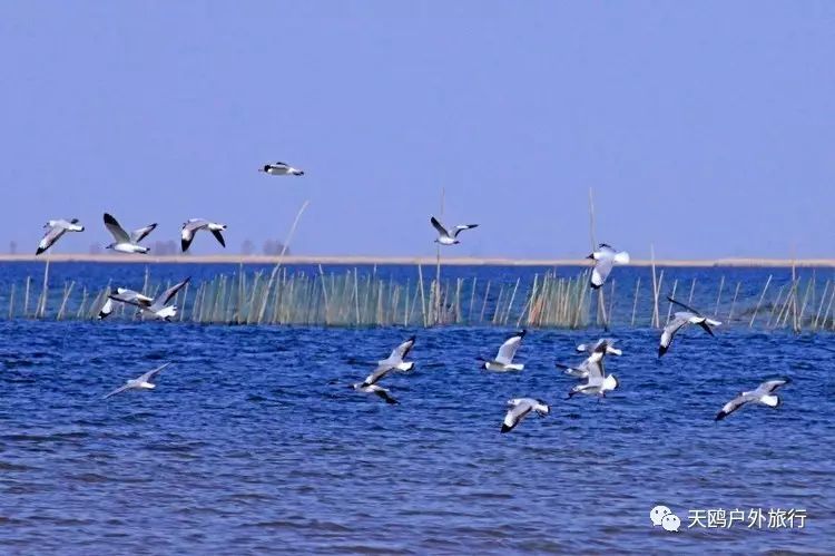 一大一小两个情侣湖，国庆来西域敦煌必经之路，一起秀恩爱吧！
