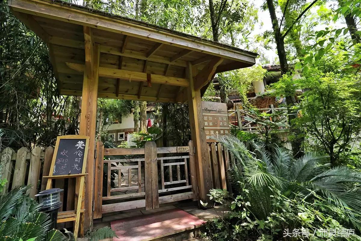 如果你只有一天的时间去乐山,如果你只有两天时间游南京