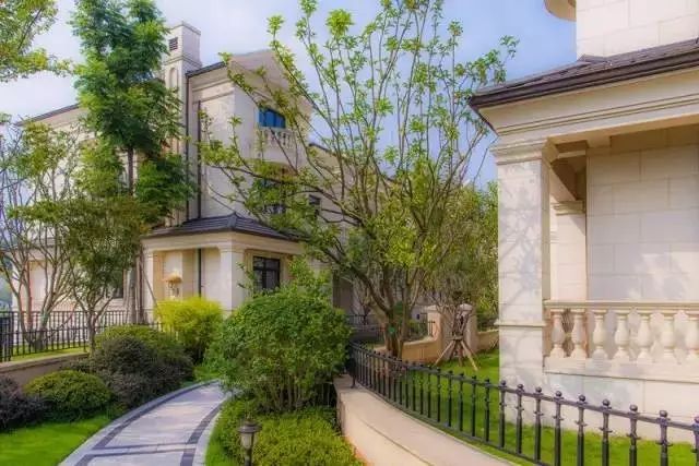 五城媒体精英千里寻访，融创*瑰园玫**95号获盛赞