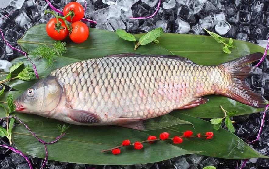 青鱼草鱼鲤鱼怎么区分,河鱼鲢鱼大头鱼有什么区别