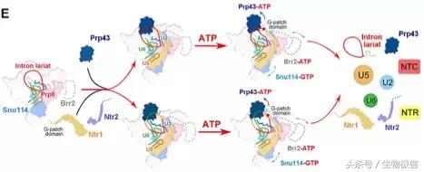 施一公回中国完整视频,施一公回放