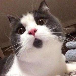 哪些护肤品和化妆品是代购炒的火热实际并不好用?你中招了几款?