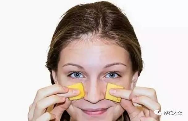 果皮肥料种花时放多少 (什么肥能促进盆栽开花结果)