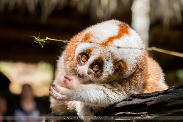 鏅幢椴滀负浜虹煡,鏅幢浣犱笉鐭ラ亾鐨勪簨