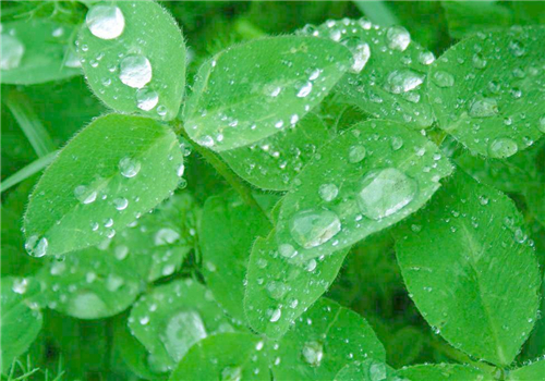 天蝎座心情不好的时候怪癖,天蝎座心情不好的治愈方法