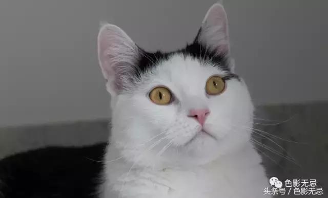 关于尼康d850的一些问答,尼康d850买回来怎么打开