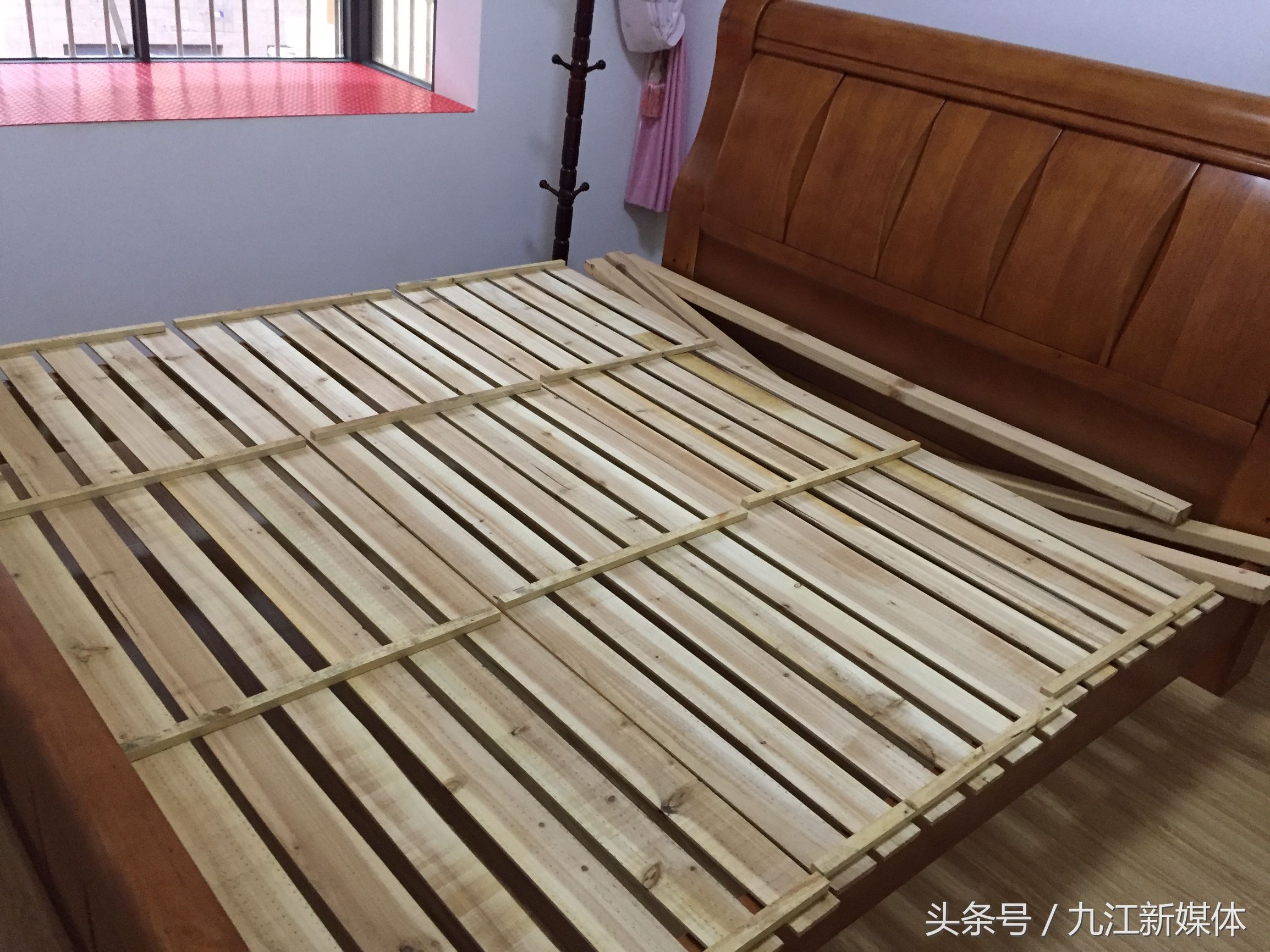 江西九江最近出现小虫子,九江最近家里好多小虫子