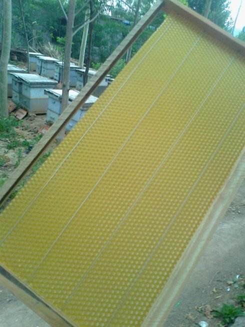 养蜜蜂专用术语,蜜蜂养殖技术维语版