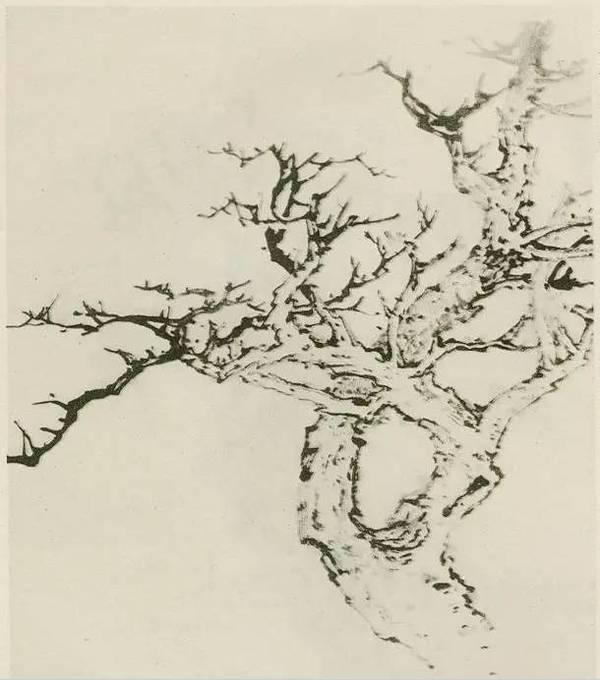 山水画画树的教学视频,山水画基础画树技法合集