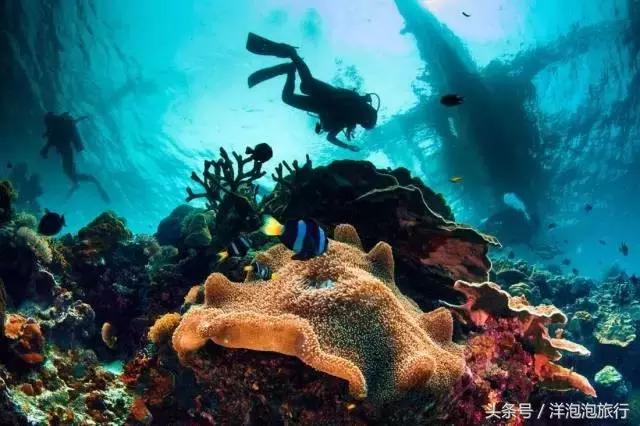 菲律宾宿务游玩攻略,菲律宾长滩岛和薄荷岛旅游风俗