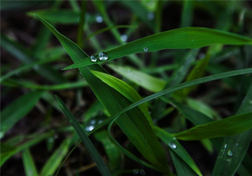 天蝎座心情不好的时候怪癖,天蝎座心情不好的治愈方法