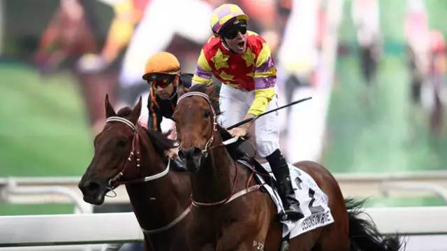 你不知道的十件事纪录片,你不知道的那些鸡毛蒜皮的事