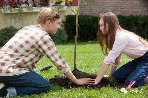 8部文艺小清新爱情电影,比较经典小清新的电影推荐