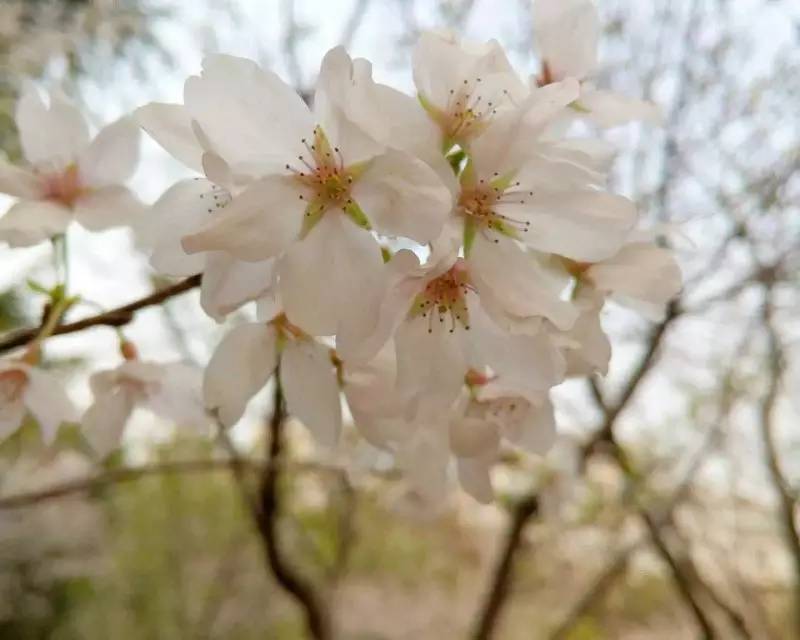 你不该错过歌曲,你不应错过的十大原创好文