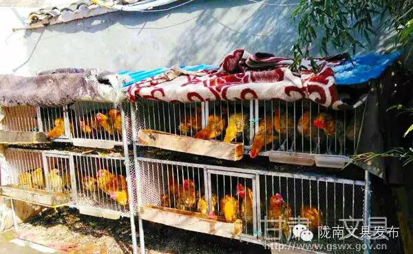 精准扶贫掠影,精准扶贫吹响脱贫攻坚战新号角