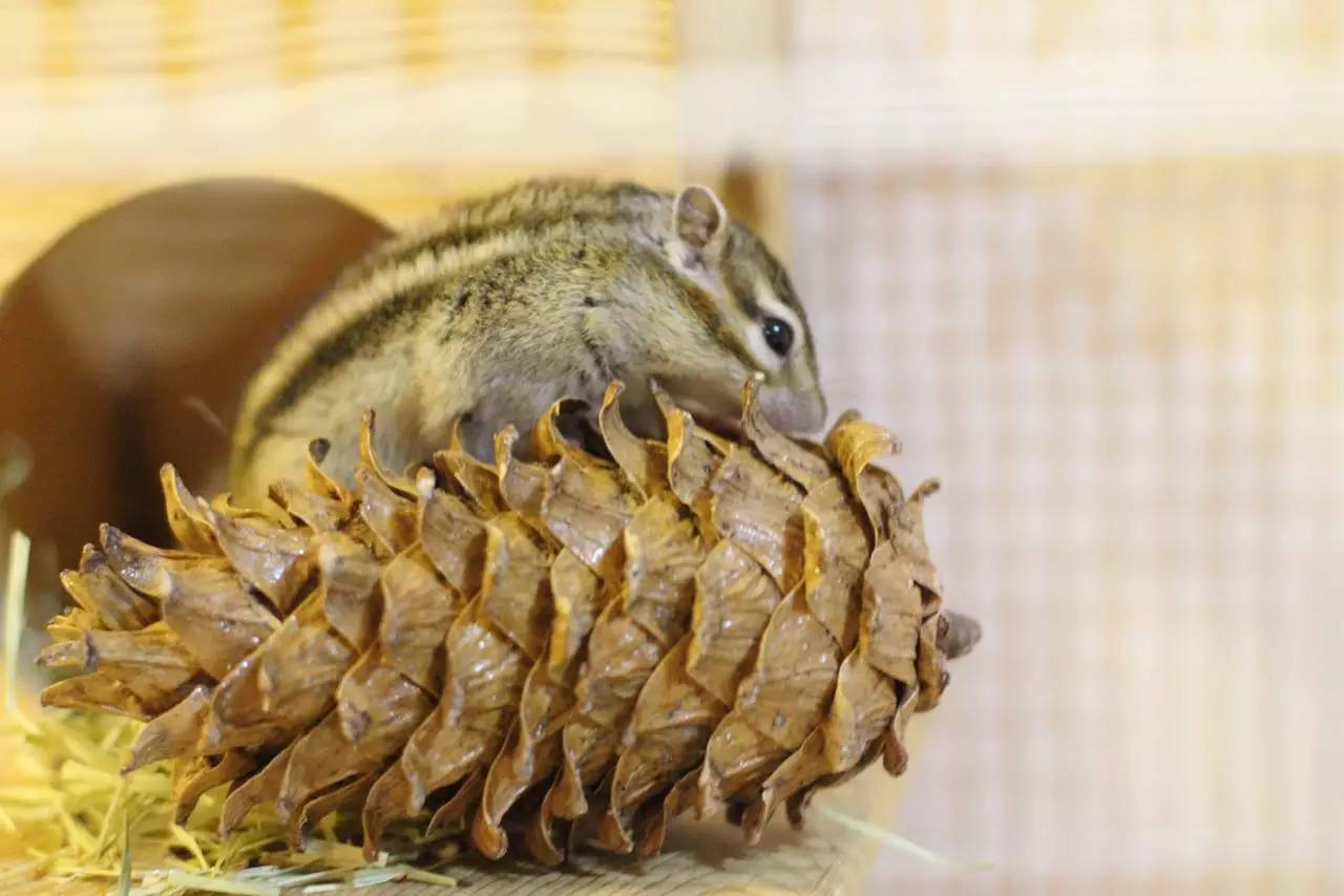 故事|像她一样下厨吧，所有的压力都可以消解