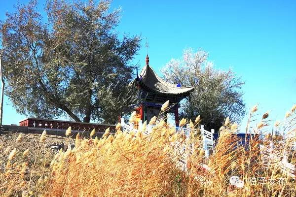 临泽双泉湖规划,临泽双泉湖