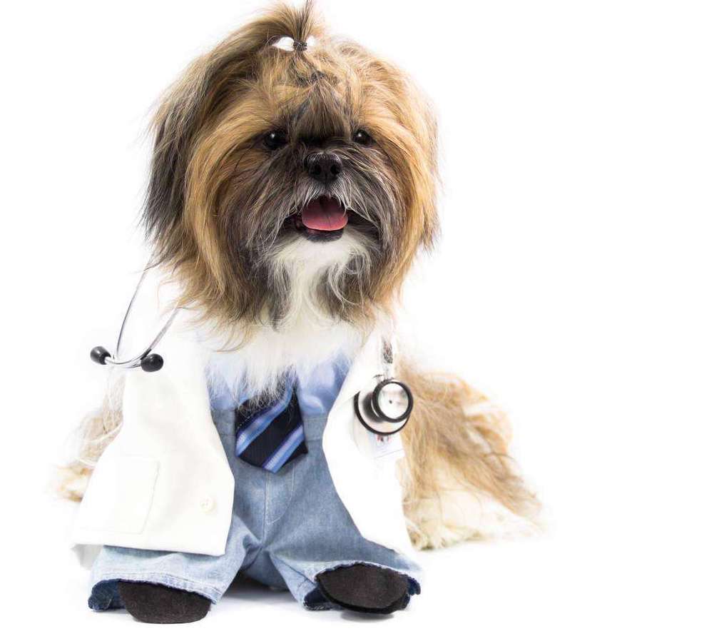 有人说我傻吗应该怎么回复,有人说我傻咋办