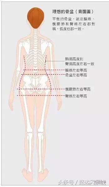 骨架平衡整脊术价目表,骨架平衡手法