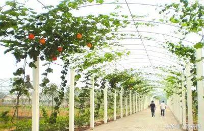 大学生在学校有什么好的创业,大学创业原来这么简单