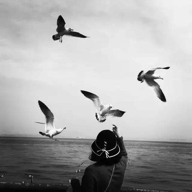 京东摄影金像奖,2021京东摄影金像奖