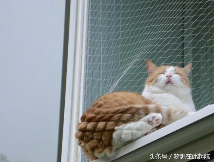 老师，为什么打扰我装逼