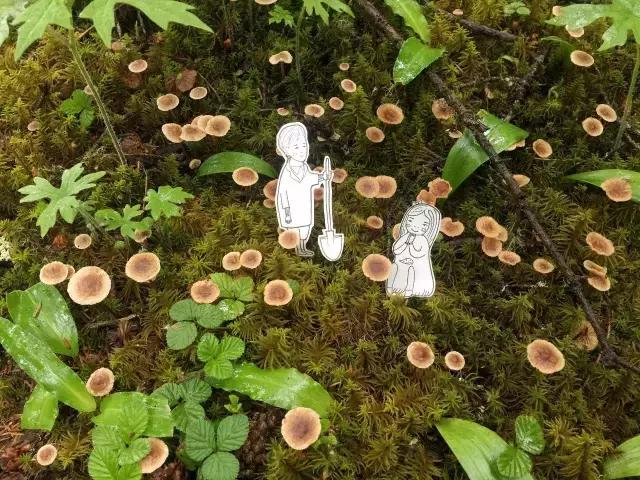 京东摄影金像奖,2021京东摄影金像奖