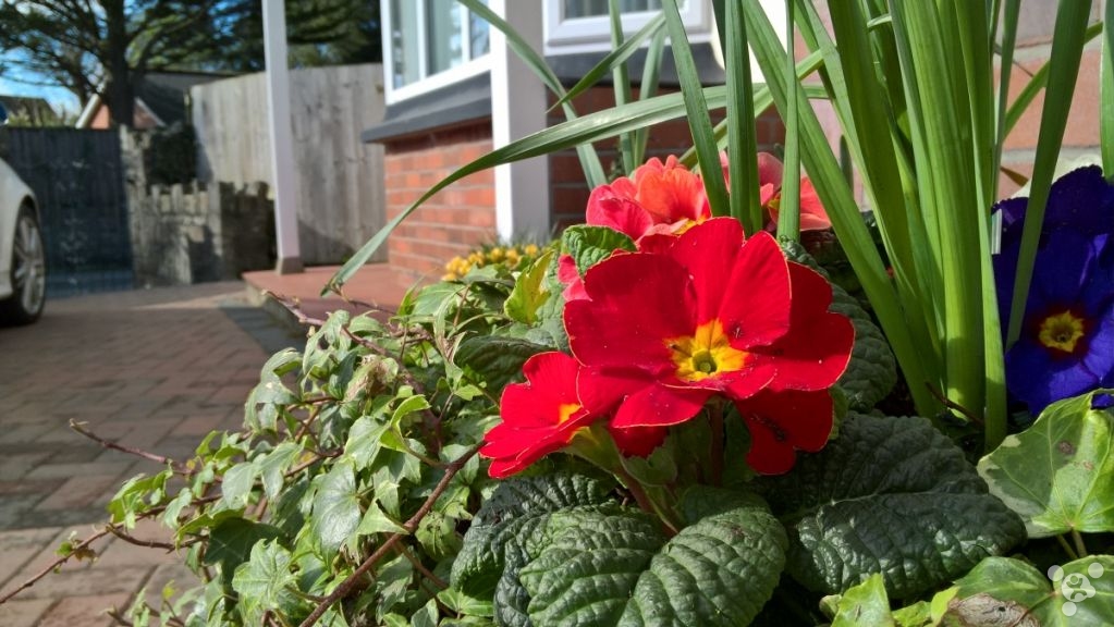 lumia650还可以用吗,微软lumia950详细评测