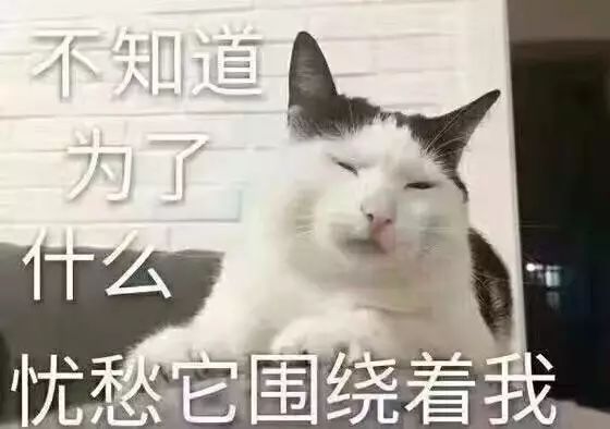 京东为小米MIX2掉包门道歉赔偿让网友直呼又错过了一个亿