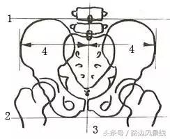 骨架平衡整脊术价目表,骨架平衡手法