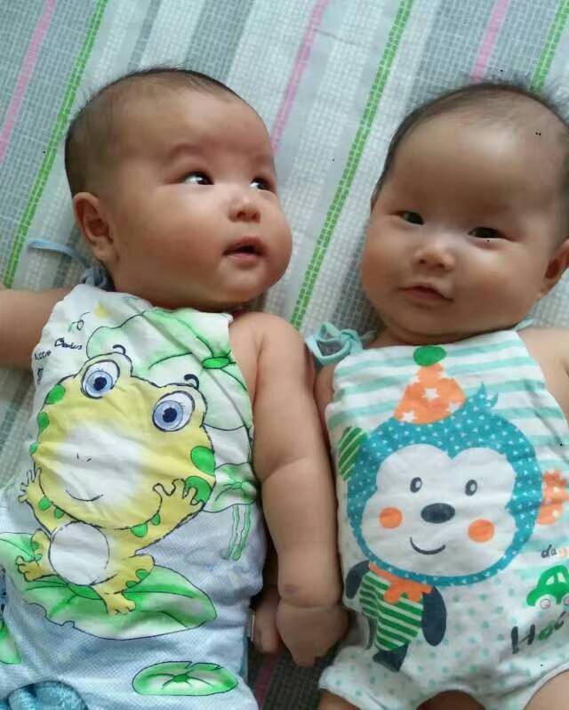 怎么备孕怀龙凤胎的概率大,怀龙凤胎助孕技巧