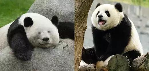 百元以下好用美妆单品,超平价网红款眼影