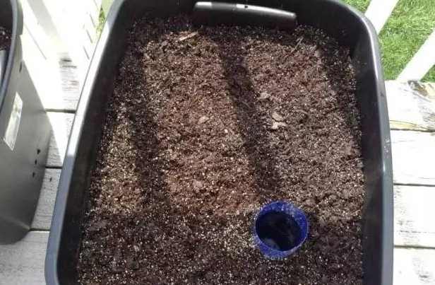 用塑料瓶自制植物自动浇水器,花盆土干了自动浇水器