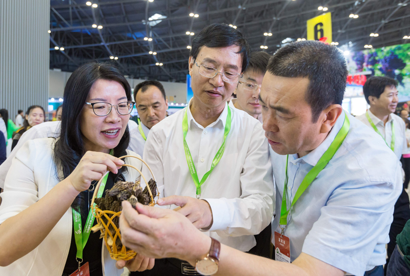 山西吕梁小杂粮,山西省吕梁市小杂粮