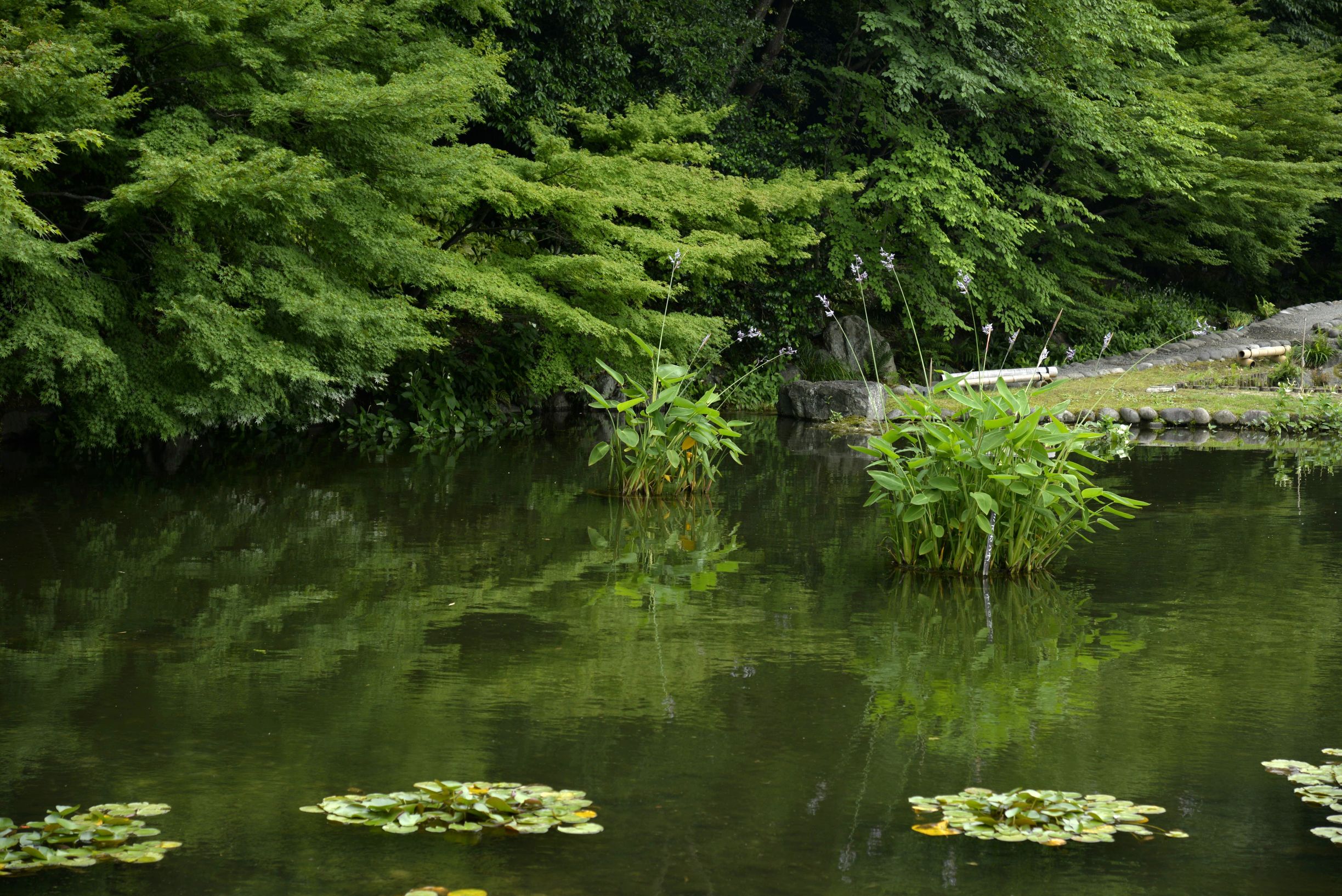 名古屋有意思吗,名古屋是不是日本的古都