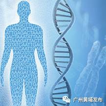 惊喜不断新春盛典,惊喜不断震撼来袭