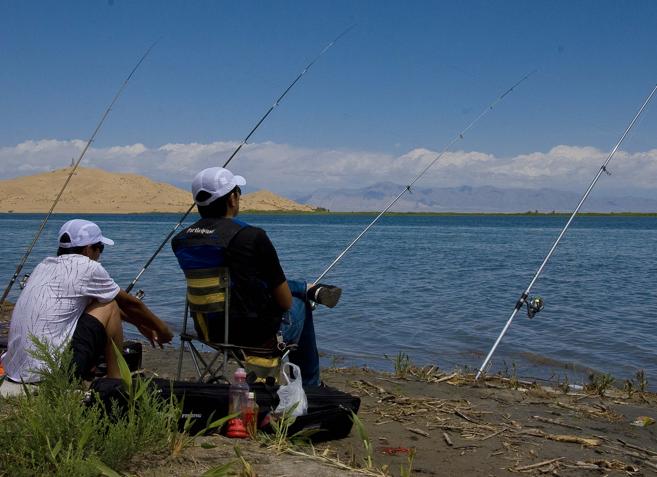 传统野钓进攻型和防守型钓鱼法,就这样钓鱼矶竿滑漂钓法视频解析