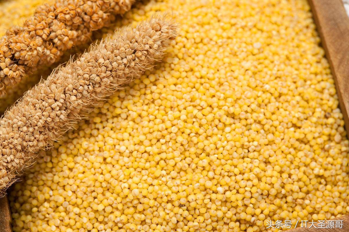 大米薏米小米的区别,红米糙米黑米三色米的功效与作用