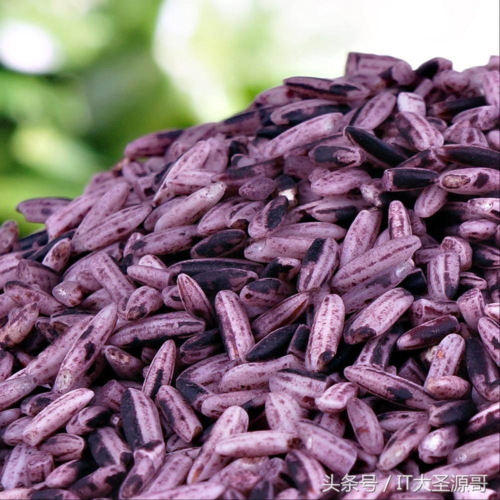 大米薏米小米的区别,红米糙米黑米三色米的功效与作用