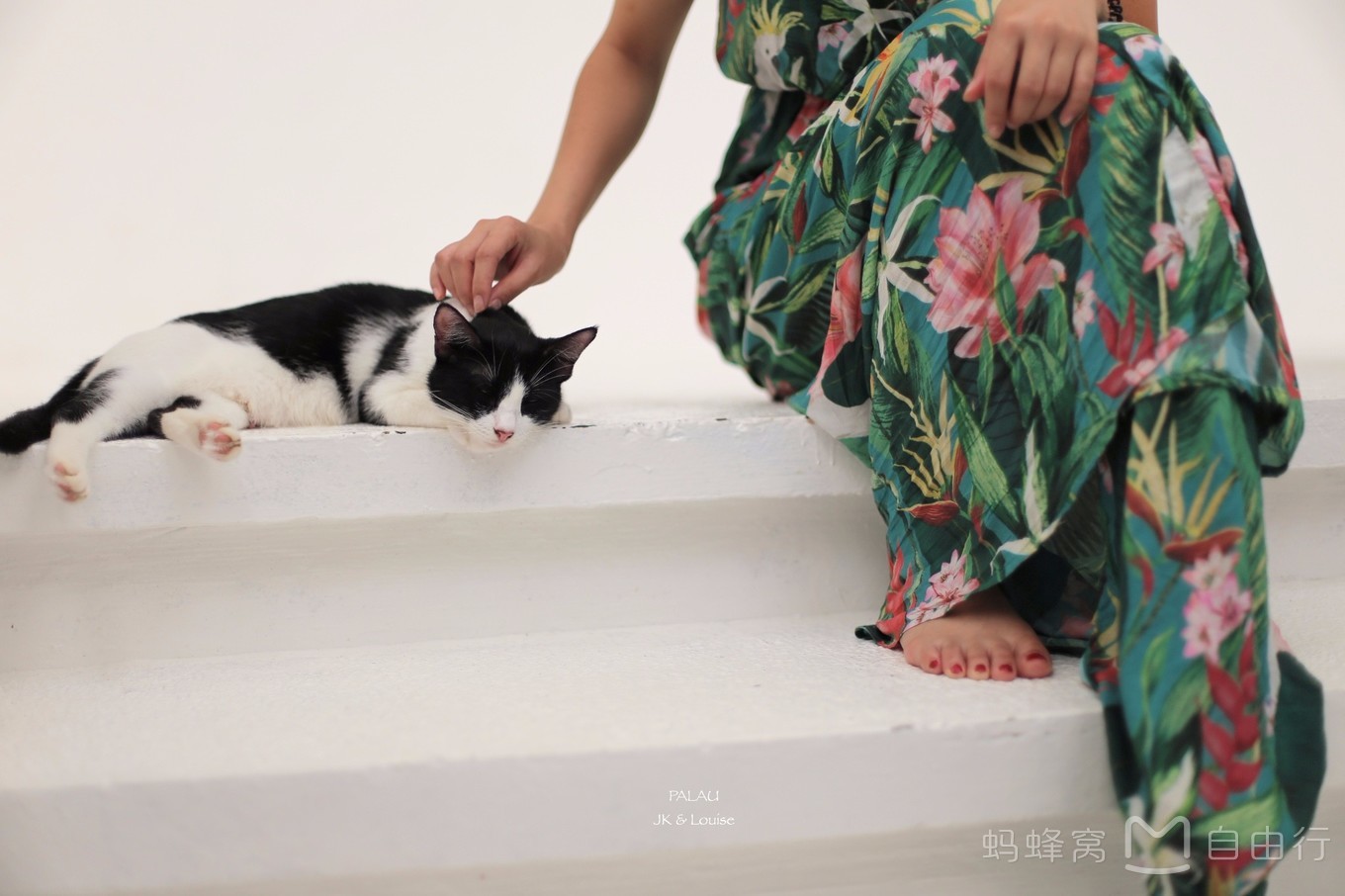 帕劳出海环岛旅游攻略,帕劳旅行攻略大全最新