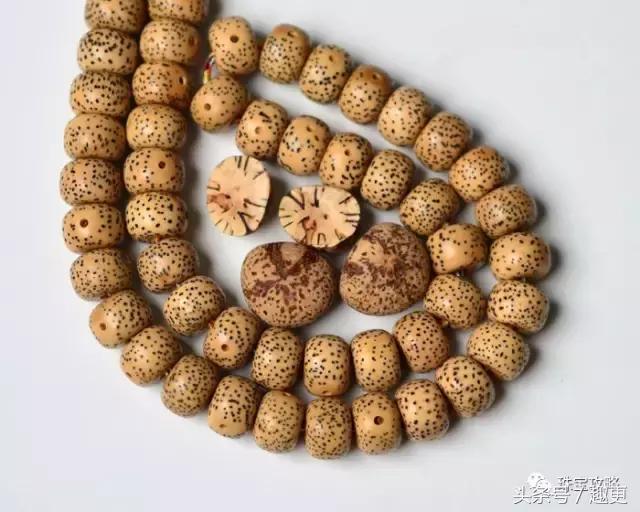 文玩菩提怎么开口,文玩菩提的技巧